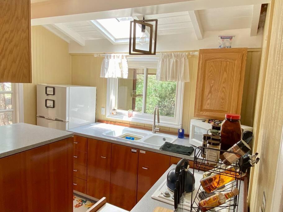 Snow Bunny Cottage, Pets Welcomed! Green Valley Lake Εξωτερικό φωτογραφία