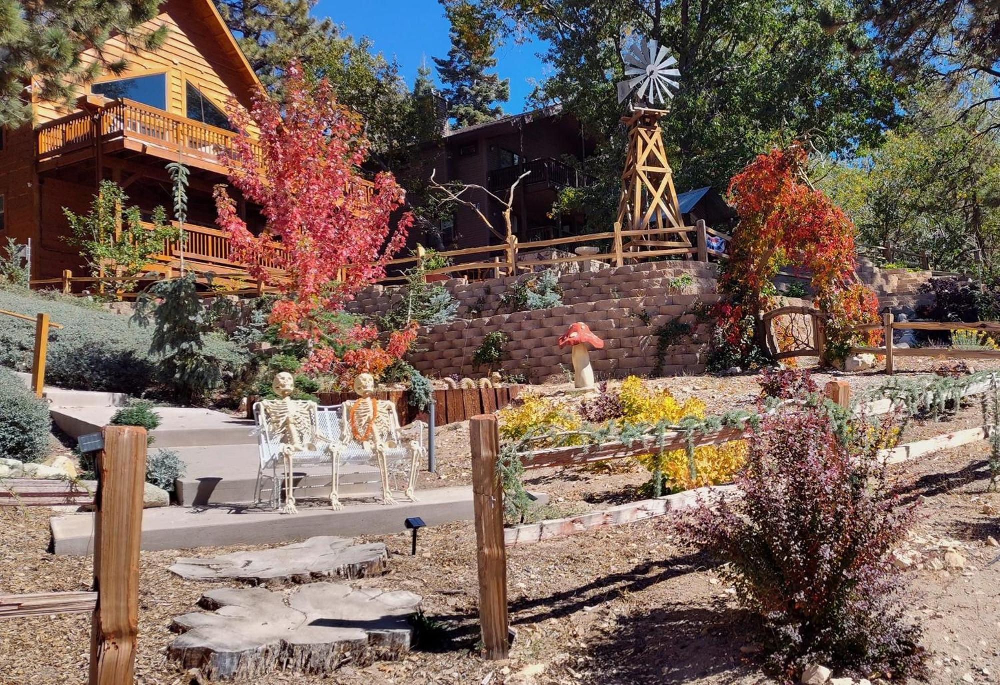 Snow Bunny Cottage, Pets Welcomed! Green Valley Lake Εξωτερικό φωτογραφία