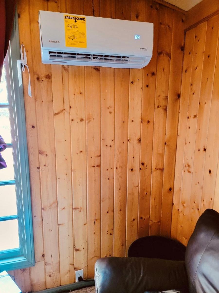 Snow Bunny Cottage, Pets Welcomed! Green Valley Lake Εξωτερικό φωτογραφία