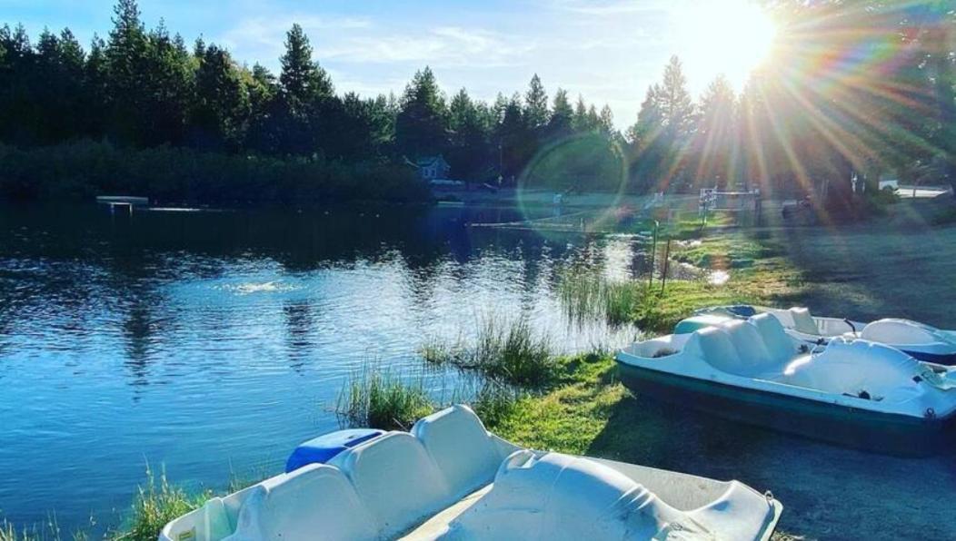 Snow Bunny Cottage, Pets Welcomed! Green Valley Lake Εξωτερικό φωτογραφία