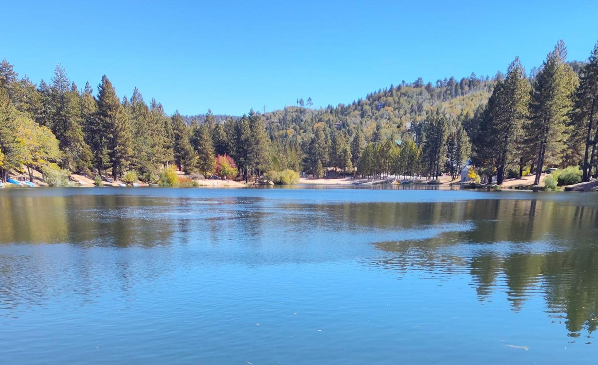 Snow Bunny Cottage, Pets Welcomed! Green Valley Lake Εξωτερικό φωτογραφία