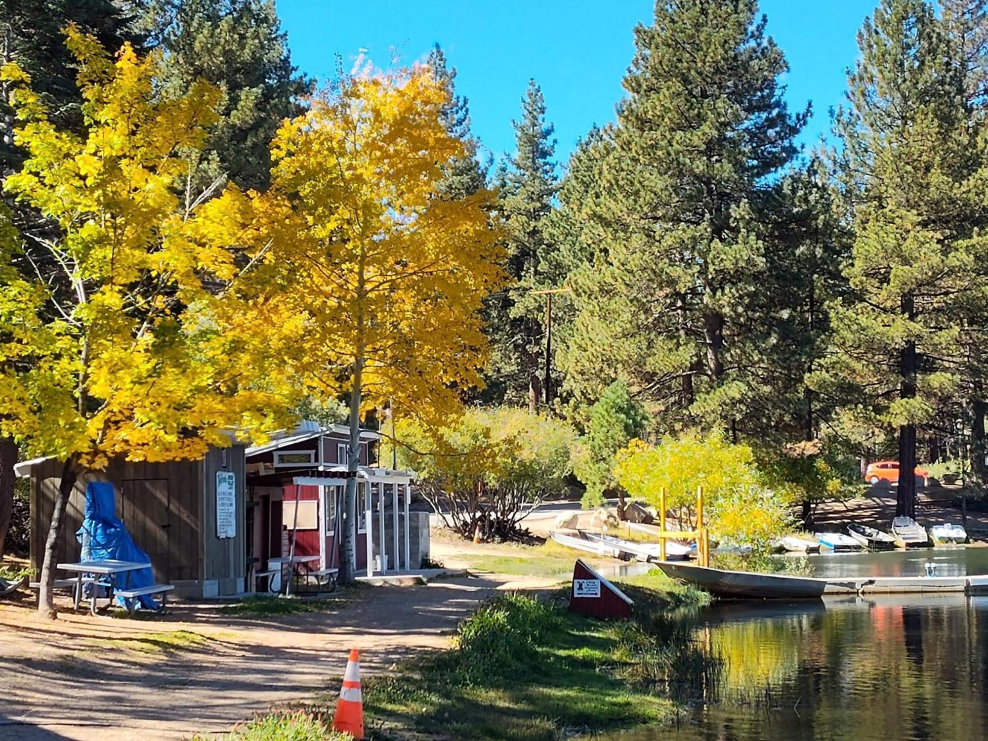 Snow Bunny Cottage, Pets Welcomed! Green Valley Lake Εξωτερικό φωτογραφία